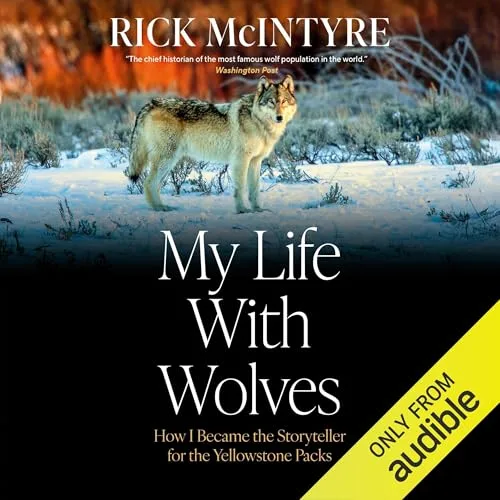 My Life with Wolves By Rick McIntyre